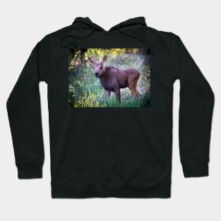 Calf Hoodie